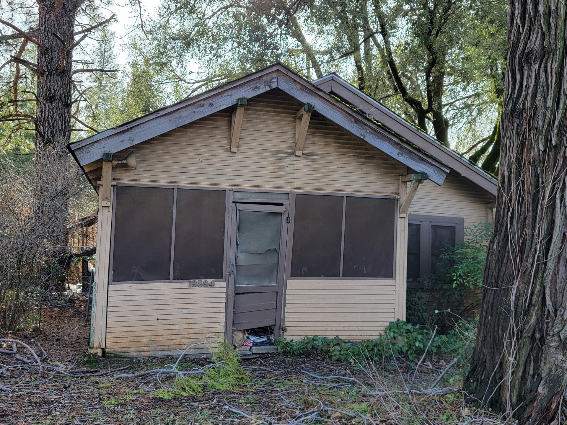 An old run-down house in the woods